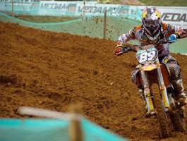 星空综合app官网登录